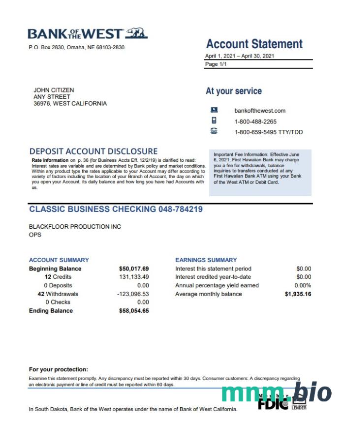 USA Bank of us konto statement szablon Worda i PDF